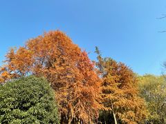 -宝界山林公园