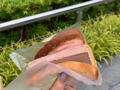 彩虹吐司加巧克力方砖-詹爷爷乌节路街头冰淇淋