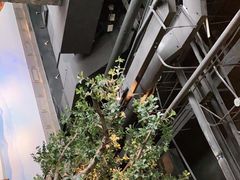 -绿茶餐厅(领展购物广场·中关村店)