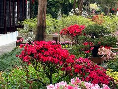 -惠山古镇·寄畅园