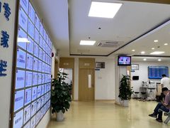 -上海大学附属上海和平眼科医院
