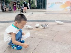 -中粮·祥云小镇