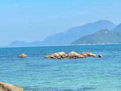 -花海间·即刻露营