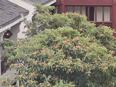 -苏州吴宫泛太平洋酒店
