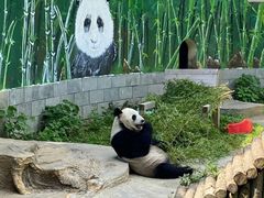 -南昌动物园