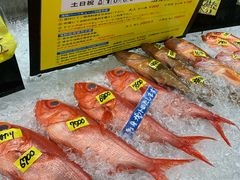 -海鮮寿司とれとれ市場