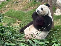 -香港海洋公园