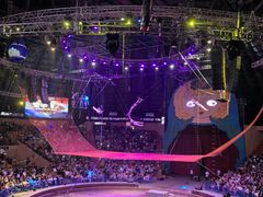 -俄罗斯国家大马戏团