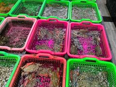 -众味海鲜大排档·活海鲜·潮汕味(南澳店)