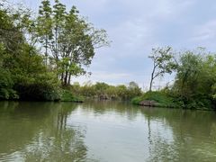 -西溪国家湿地公园