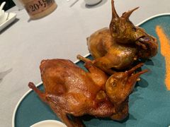 -大鸽饭(体育西路店)