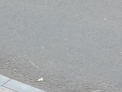 -义乌之心城市生活广场(新马路店)