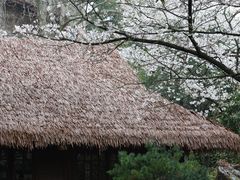 -中国茶叶博物馆(双峰馆区)