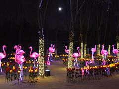 -长春世界雕塑园冰雪艺术天地