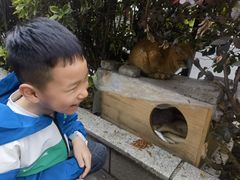 -康铂酒店(上海外滩店)