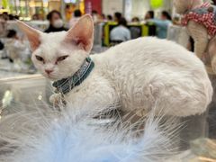 -万达广场(北京槐房店)