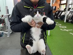 -SAH健身私教工作室(紫东店)