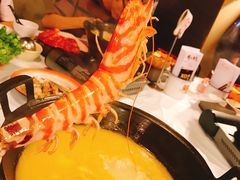 -鲜入围煮花胶鸡海鲜火锅