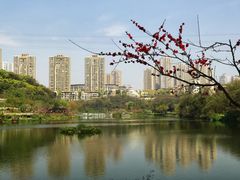 -重庆彩云湖湿地公园