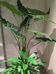 -悦润荟美容抗衰中心