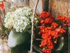 -静岸花卉园艺(三星坊店)