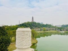 -顺峰山公园
