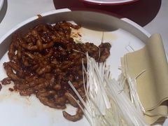 -大鸭梨烤鸭(顺义石园店)