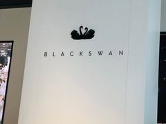 -BLACKSWAN黑天鹅(环球店)