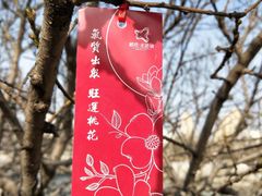 -桃花堤公园