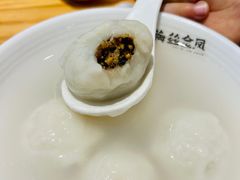 -海丝金凤(金鱼店)