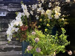 -星悦荟健身游泳(珠江新城店)