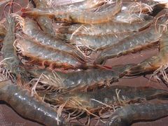 -V-ONE西雅图海鲜自助餐厅(仓山万达广场店)