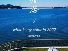 -望湖烤鱼