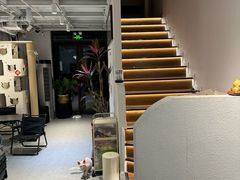 -琪喵猫屋·撸猫猫咖·猫舍