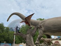 -陕西自然博物馆