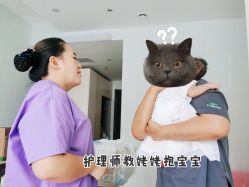 -贝安心月子中心(昌平店)
