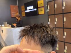 -藤野造型