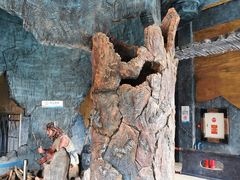 -大连老虎滩海洋公园