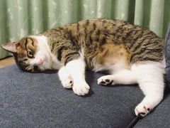 -日月永和中国餐饮名店(凤凰店)