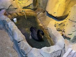 -酷嗒动物文化乐园(cutezoo西溪乐天城店)