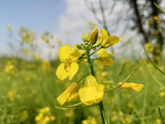 -楠溪江风景名胜区