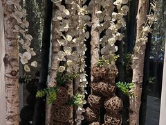 -益健·足疗汗蒸SPA(芙蓉广场店)