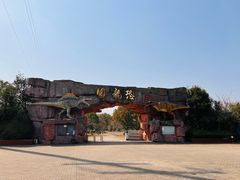 -上海海湾国家森林公园