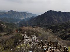 -大岭沟猕猴桃谷风景区