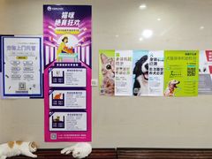 -宠福鑫动物医院(立水桥分院)