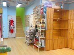 -猫十亿·布偶金渐层·曼基康矮脚猫舍(青年路店)