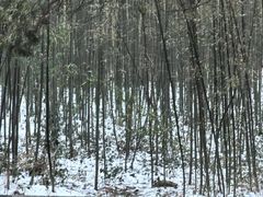 -少林寺欢喜地素斋馆