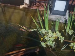 -新竹里馆·花园餐厅(兴苑路店)