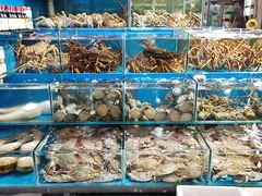 -岳各庄批发市场(西四环中路店)