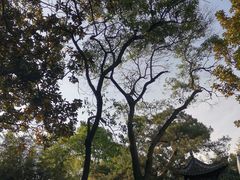-个园